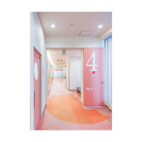 双扇折叠收纳防火门