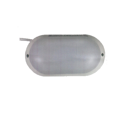 应急照明灯具N-ZFZC-E10W8596