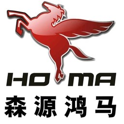 河南森源鸿马电动汽车有限公司