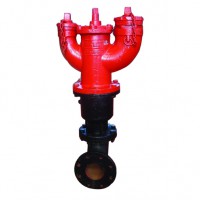 地下消火栓SA100/65-1.6