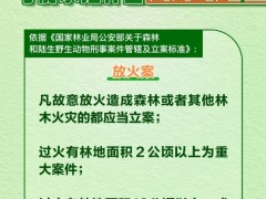 引发森林火灾 应承担什么法律责任？